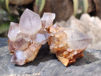 Natural Dark Amethyst Spirit Quartz Clusters x 6 From Boekenhouthoek, South Africa - Toprock Gemstones and Minerals 