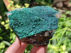 Natural Botryoidal Malachite Specimens x 3 From Tenke Fungurume, Congo - Toprock Gemstones and Minerals 