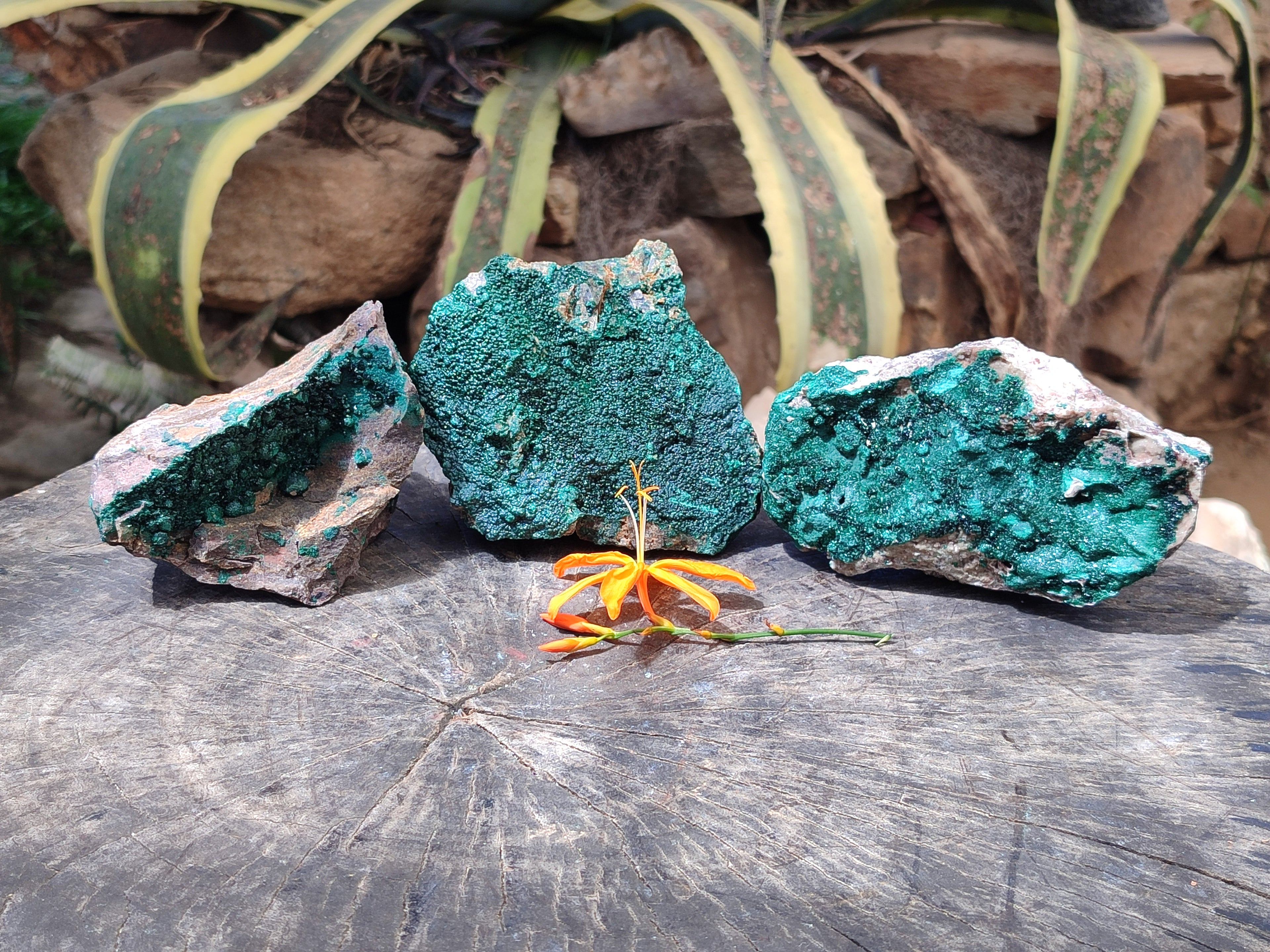 Natural Botryoidal Malachite Specimens x 3 From Tenke Fungurume, Congo - Toprock Gemstones and Minerals 