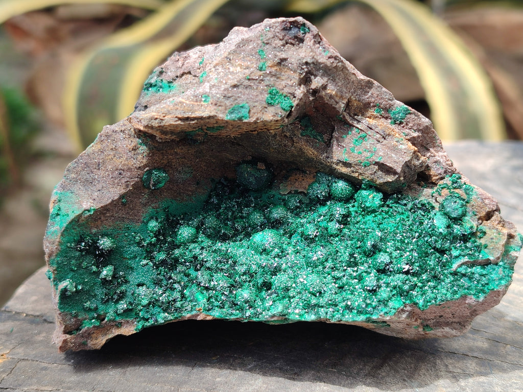 Natural Botryoidal Malachite Specimens x 3 From Tenke Fungurume, Congo - Toprock Gemstones and Minerals 