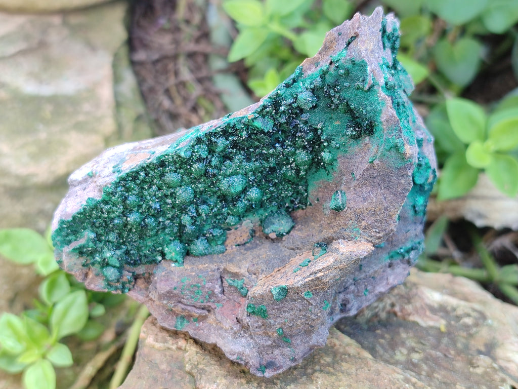 Natural Botryoidal Malachite Specimens x 3 From Tenke Fungurume, Congo - Toprock Gemstones and Minerals 