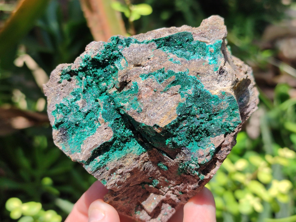 Natural Botryoidal Malachite Specimens x 3 From Tenke Fungurume, Congo - Toprock Gemstones and Minerals 