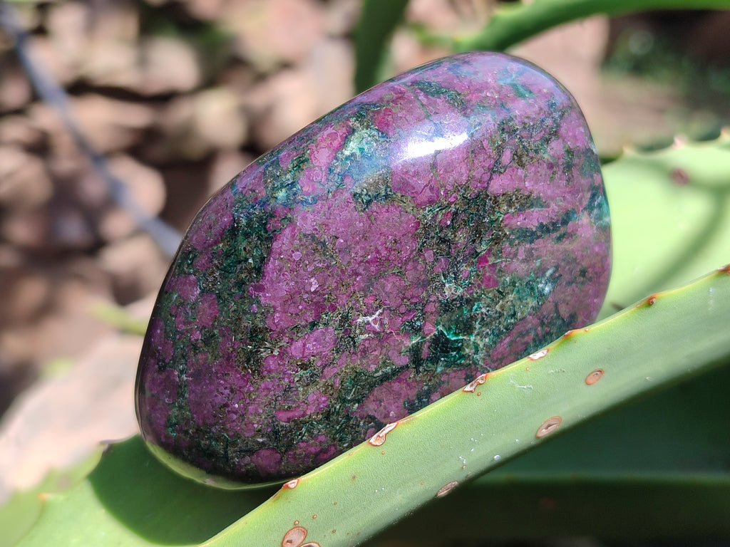 Polished Ruby Corundum In Chrome Verdite Free Forms x 4 From Zimbabwe - Toprock Gemstones and Minerals 