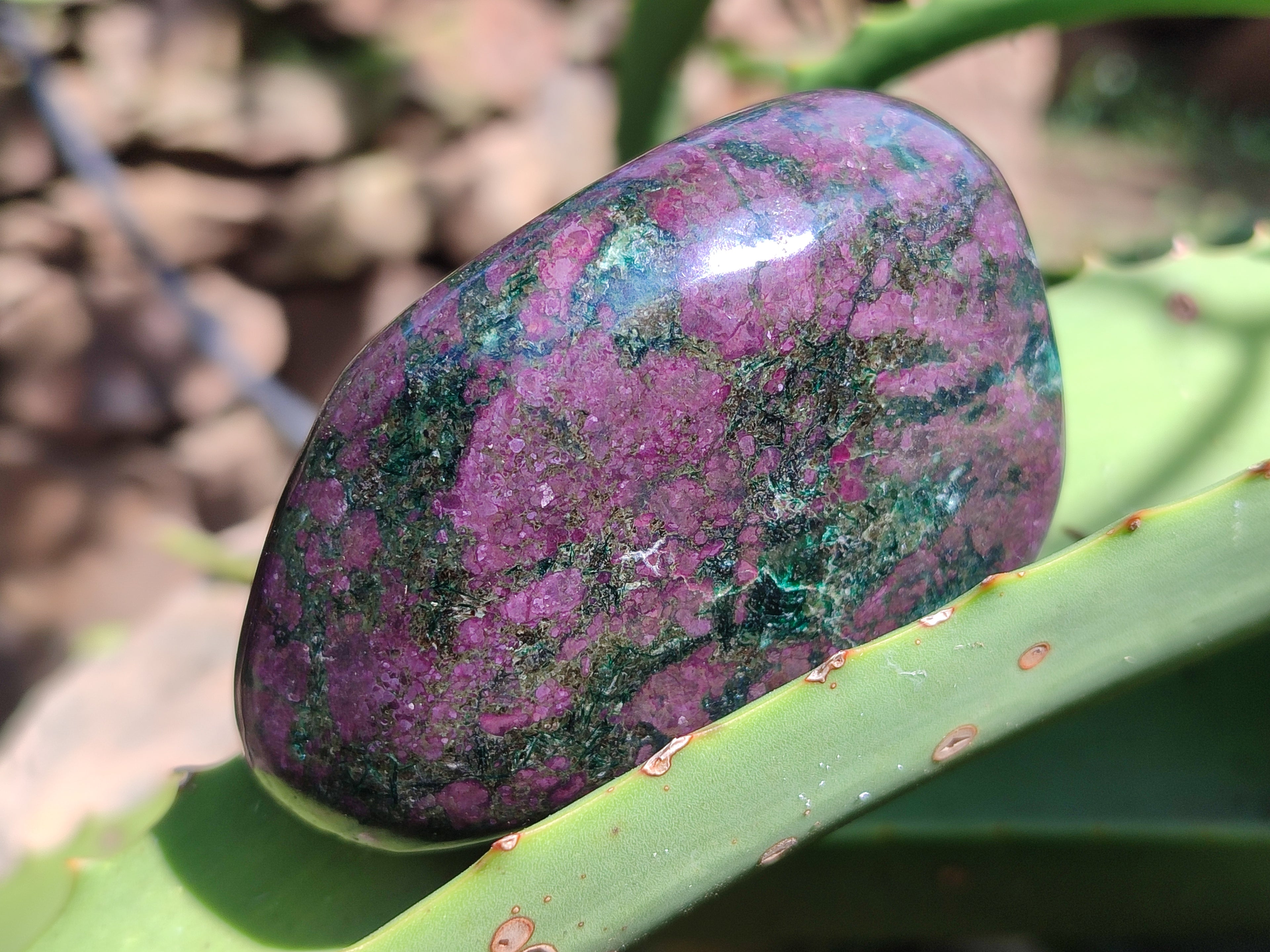 Polished Ruby Corundum In Chrome Verdite Free Forms x 4 From Zimbabwe - Toprock Gemstones and Minerals 
