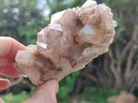 Natural Smokey Phantom Quartz Clusters x 3 From Luena, Congo - Toprock Gemstones and Minerals 