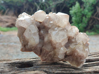 Natural Smokey Phantom Quartz Clusters x 3 From Luena, Congo - Toprock Gemstones and Minerals 