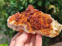 Natural XX Rare Vanadinite Specimen x 1 From Mibladen, Morocco