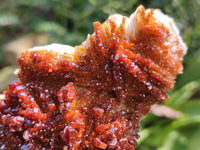 Natural XX Rare Vanadinite Specimen x 1 From Mibladen, Morocco