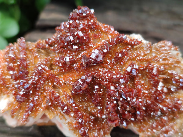 Natural XX Rare Vanadinite Specimen x 1 From Mibladen, Morocco