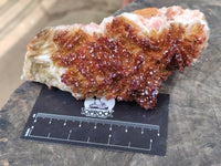 Natural XX Rare Vanadinite Specimen x 1 From Mibladen, Morocco