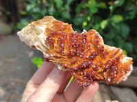 Natural XX Rare Vanadinite Specimen x 1 From Mibladen, Morocco