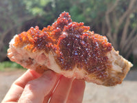 Natural XX Rare Vanadinite Specimen x 1 From Mibladen, Morocco