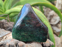 Polished Ruby Corundum In Chrome Verdite Standing Free Forms x  From Zimbabwe - Toprock Gemstones and Minerals 