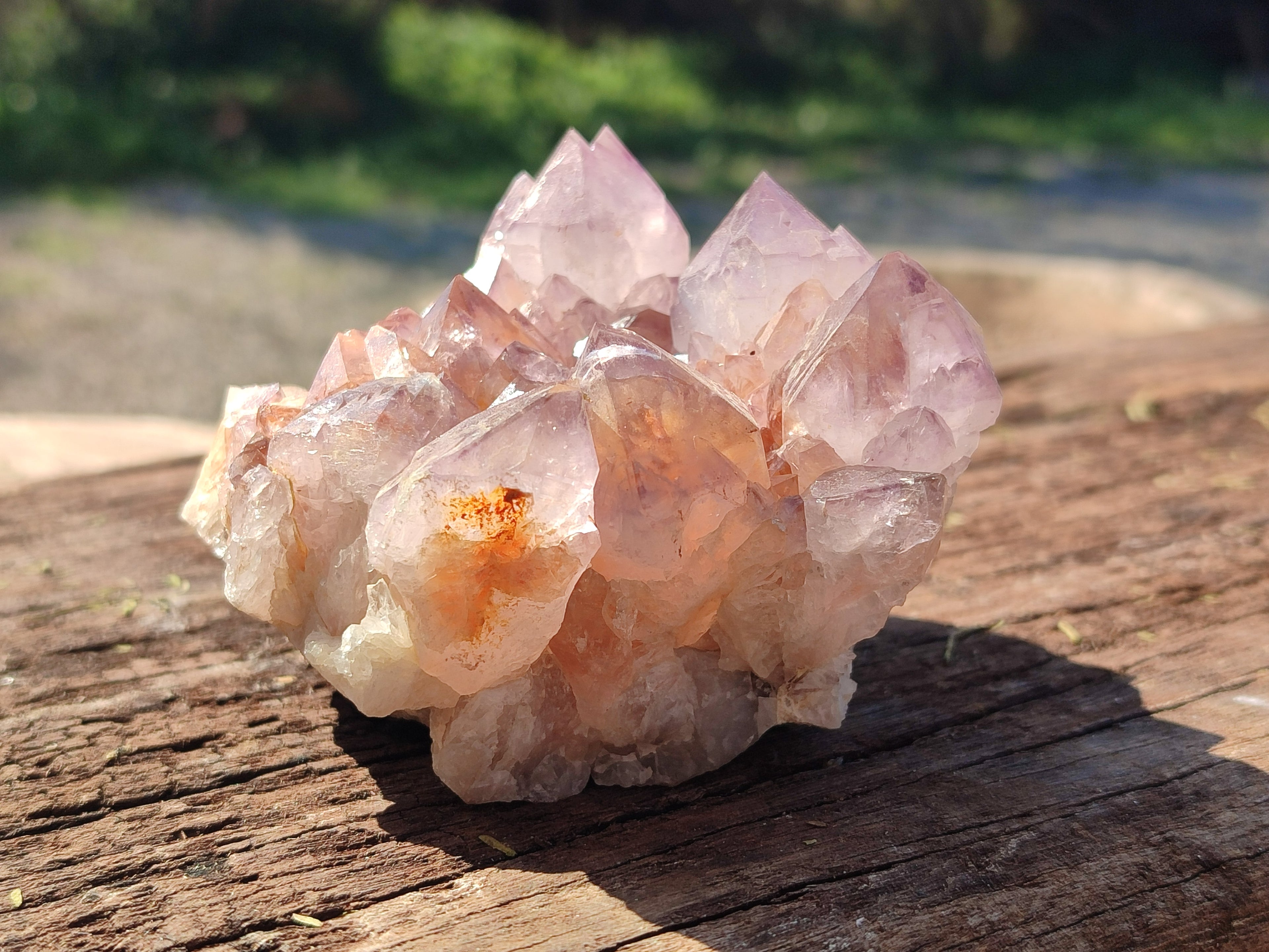 Natural Cactus Flower Dark Amethyst Spirit Clusters x 2 From South Africa - Toprock Gemstones and Minerals 