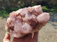 Natural Cactus Flower Dark Amethyst Spirit Clusters x 2 From South Africa - Toprock Gemstones and Minerals 