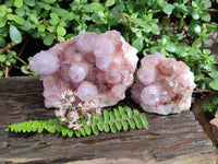 Natural Cactus Flower Dark Amethyst Spirit Clusters x 2 From South Africa - Toprock Gemstones and Minerals 