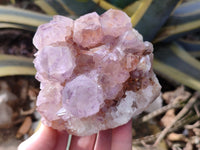 Natural Cactus Flower Dark Amethyst Spirit Clusters x 2 From South Africa - Toprock Gemstones and Minerals 