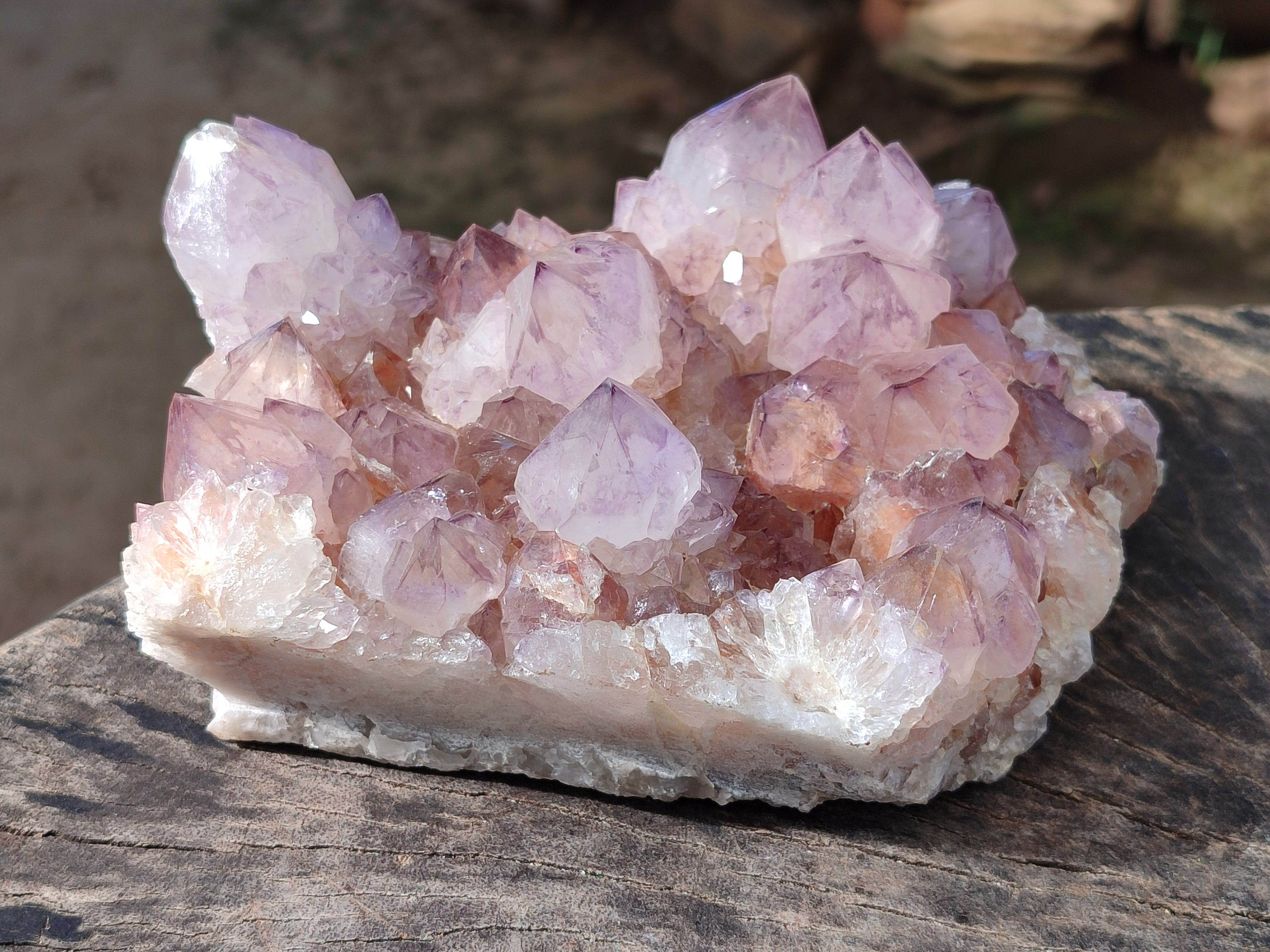 Natural Cactus Flower Dark Amethyst Spirit Clusters x 2 From South Africa - Toprock Gemstones and Minerals 