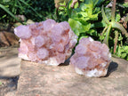 Natural Cactus Flower Dark Amethyst Spirit Clusters x 2 From South Africa - Toprock Gemstones and Minerals 