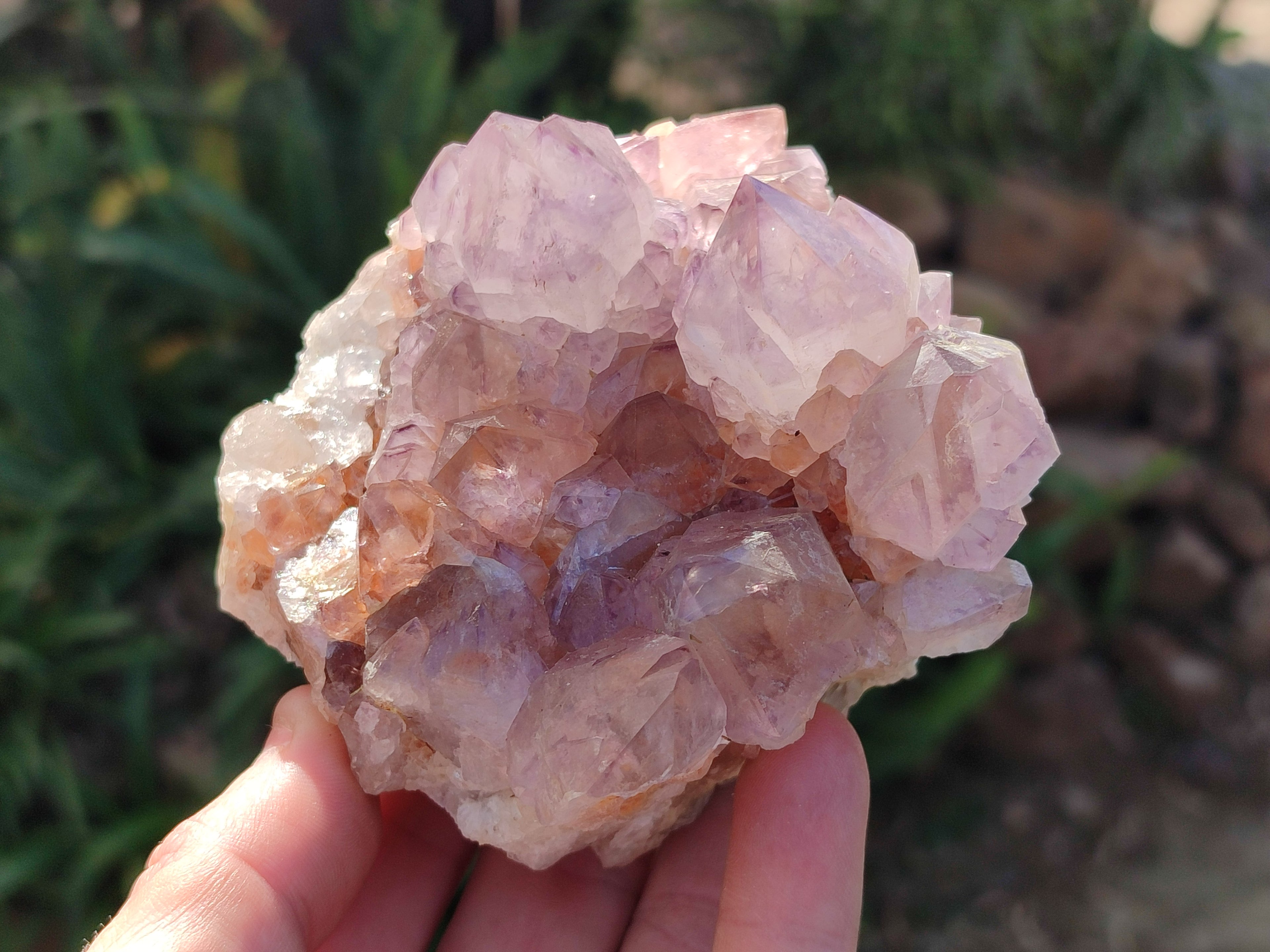 Natural Cactus Flower Dark Amethyst Spirit Clusters x 2 From South Africa - Toprock Gemstones and Minerals 