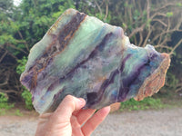 Polished Watermelon Fluorite Slices x 2 From Uis, Namibia