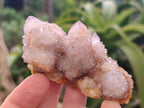 Natural  Amethyst Fairy Spirit Quartz Clusters x 12 From South Africa - Toprock Gemstones and Minerals 