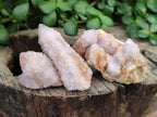 Natural  Amethyst Fairy Spirit Quartz Clusters x 12 From South Africa - Toprock Gemstones and Minerals 