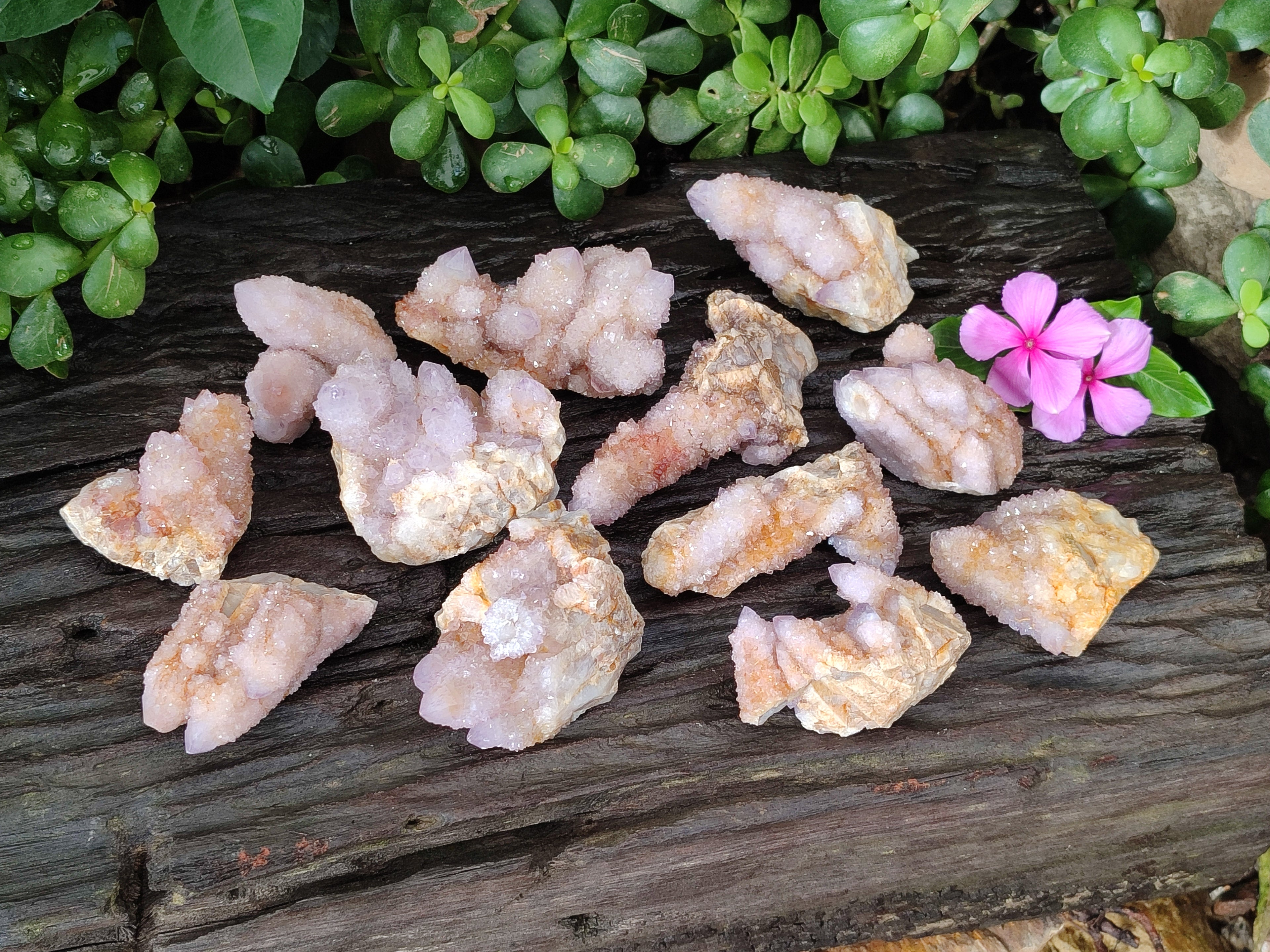 Natural  Amethyst Fairy Spirit Quartz Clusters x 12 From South Africa - Toprock Gemstones and Minerals 