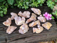 Natural  Amethyst Fairy Spirit Quartz Clusters x 12 From South Africa