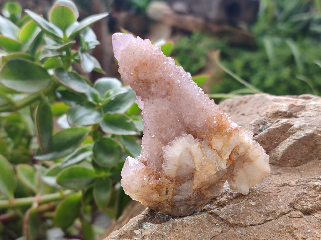 Natural  Amethyst Fairy Spirit Quartz Clusters x 12 From South Africa - Toprock Gemstones and Minerals 