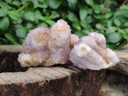 Natural  Amethyst Fairy Spirit Quartz Clusters x 12 From South Africa - Toprock Gemstones and Minerals 
