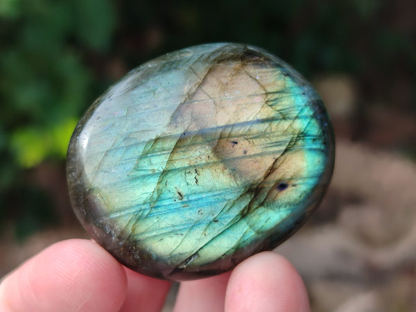Polished Labradorite Palm Stones x 24 From Tulear, Madagascar