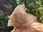 Natural Smokey Phantom Quartz Clusters x 12 From Luena, Congo - Toprock Gemstones and Minerals 