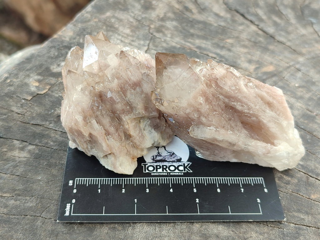 Natural Smokey Phantom Quartz Clusters x 12 From Luena, Congo - Toprock Gemstones and Minerals 