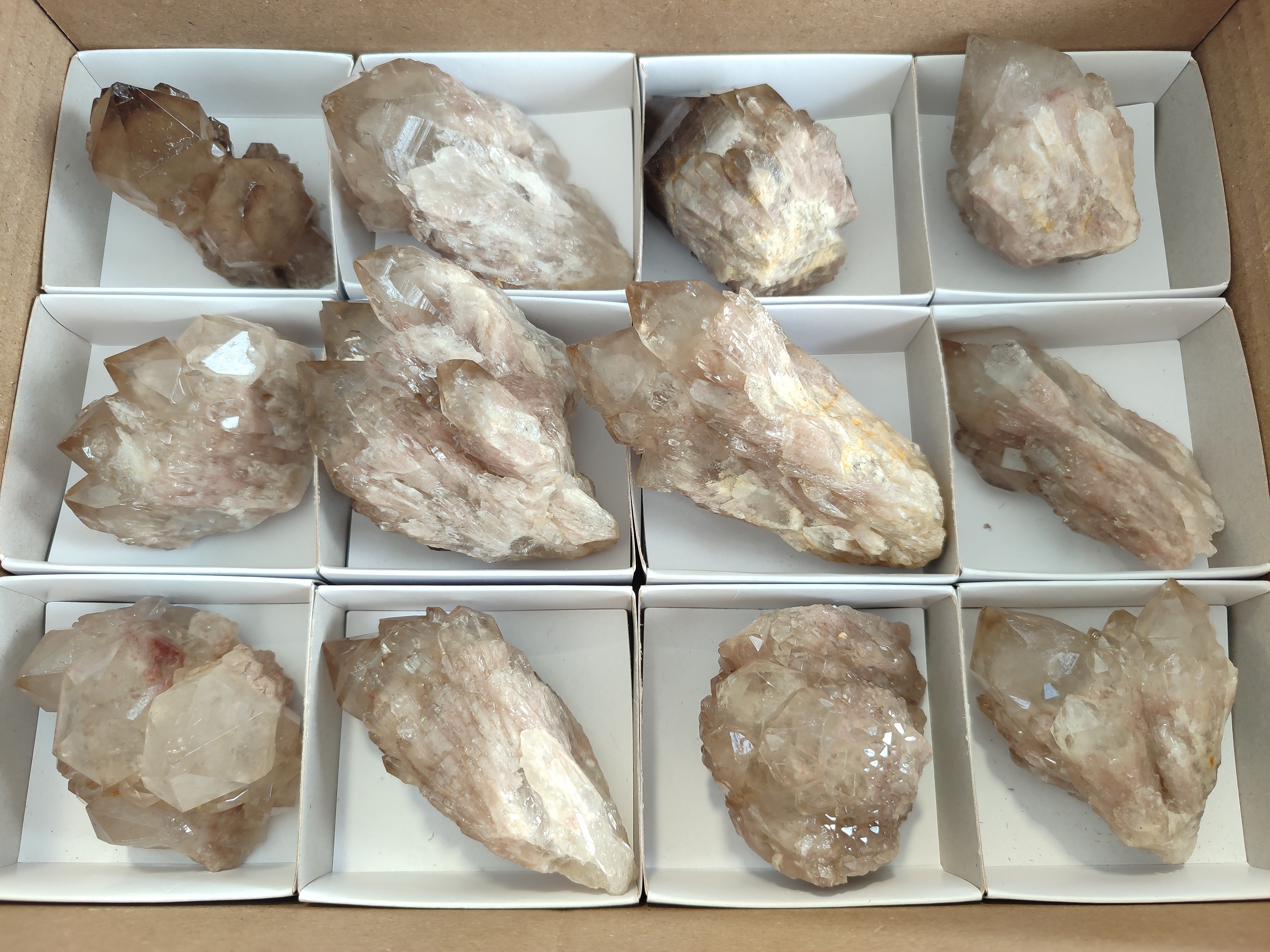 Natural Smokey Phantom Quartz Clusters x 12 From Luena, Congo - Toprock Gemstones and Minerals 