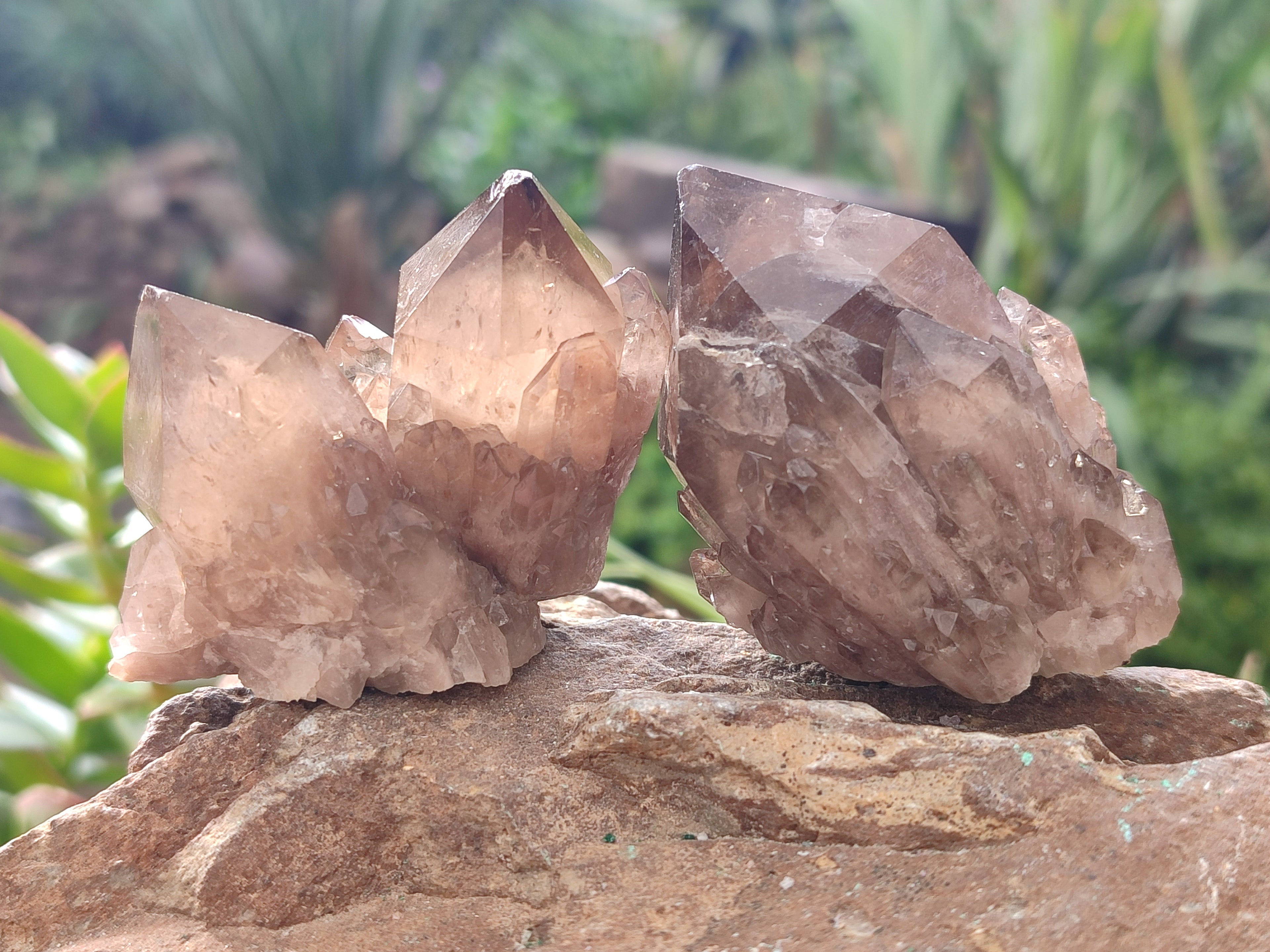 Natural Smokey Phantom Quartz Clusters x 12 From Luena, Congo - Toprock Gemstones and Minerals 