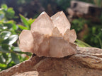 Natural Smokey Phantom Quartz Clusters x 12 From Luena, Congo - Toprock Gemstones and Minerals 