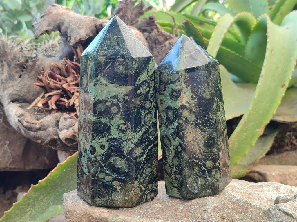 Polished Stromatolite Jasper Points x 2 From Katsepy, Madagascar - Toprock Gemstones and Minerals 