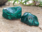 Polished Flower Banded Malachite Free Forms x 6 From Congo - Toprock Gemstones and Minerals 