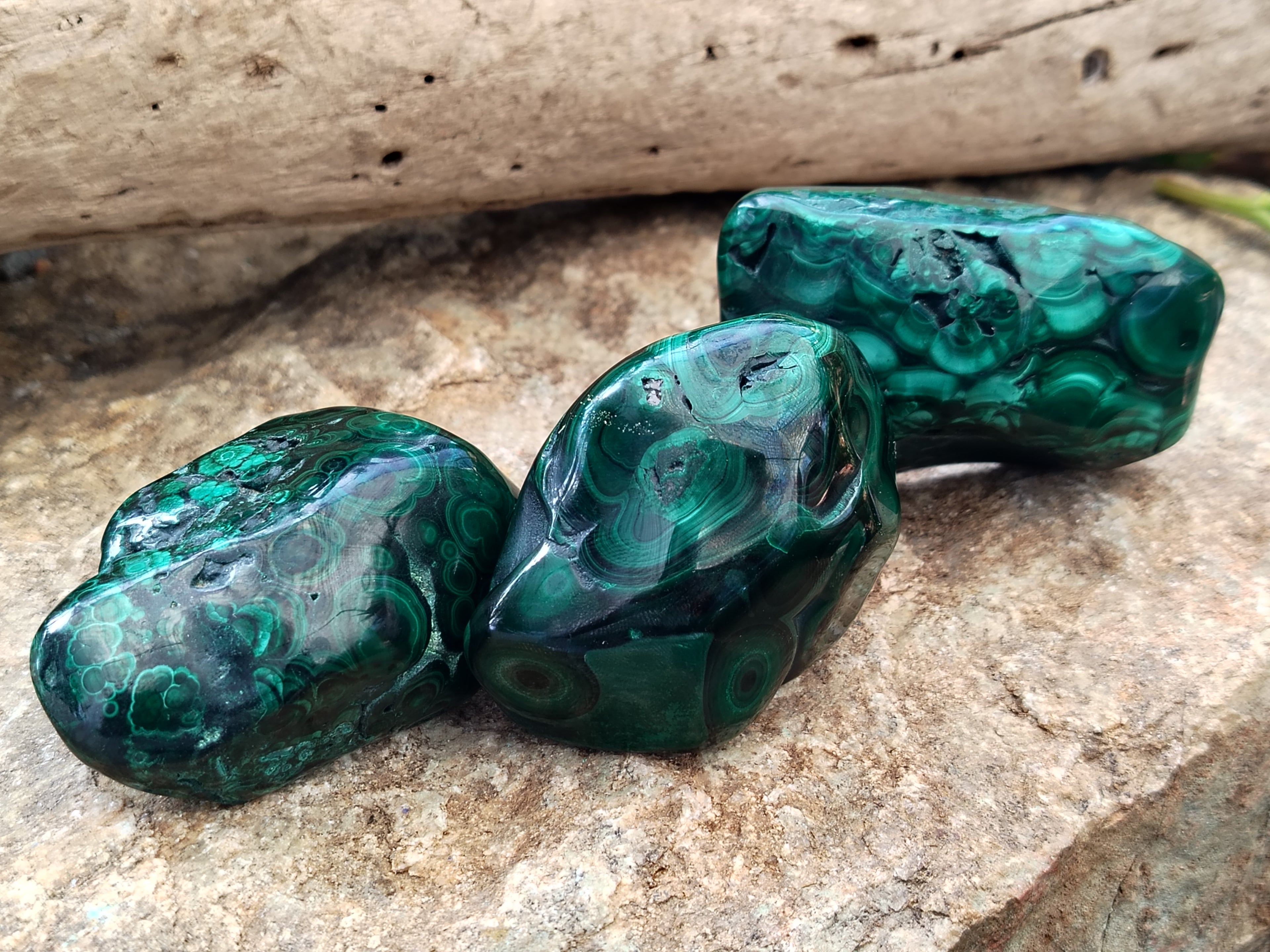Polished Flower Banded Malachite Free Forms x 6 From Congo - Toprock Gemstones and Minerals 