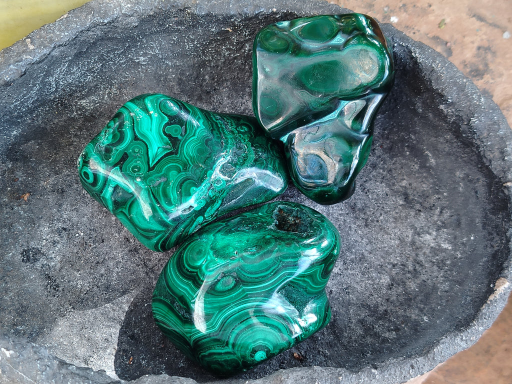 Polished Flower Banded Malachite Free Forms x 6 From Congo - Toprock Gemstones and Minerals 