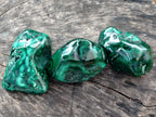 Polished Flower Banded Malachite Free Forms x 6 From Congo - Toprock Gemstones and Minerals 