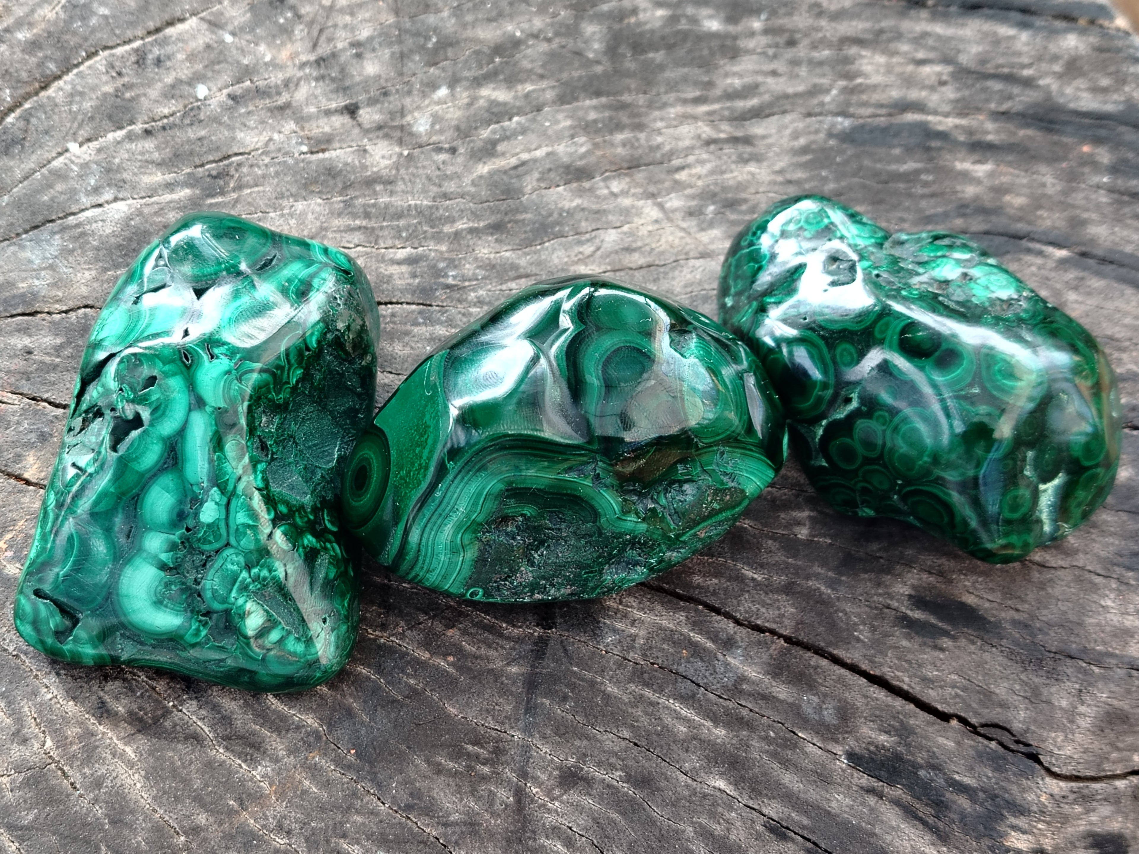 Polished Flower Banded Malachite Free Forms x 6 From Congo - Toprock Gemstones and Minerals 