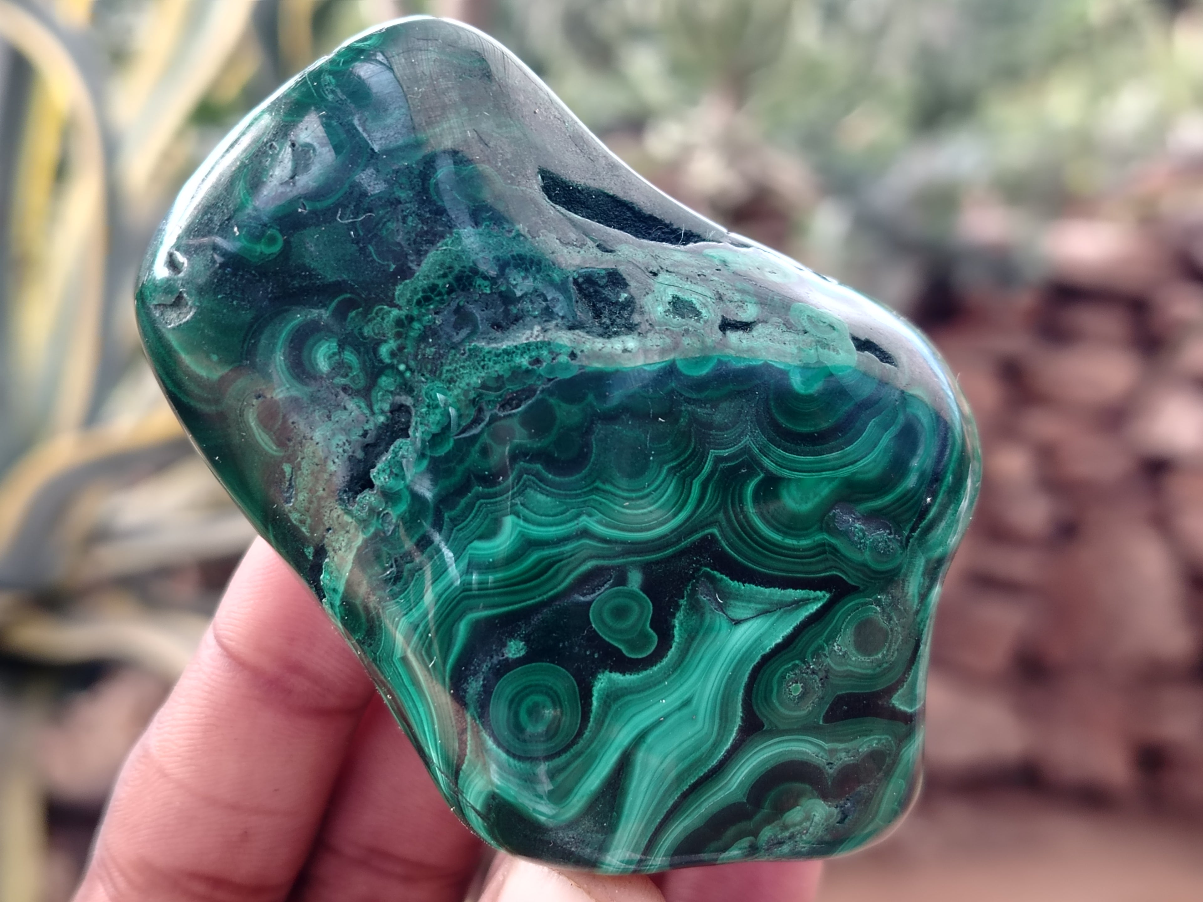 Polished Flower Banded Malachite Free Forms x 6 From Congo - Toprock Gemstones and Minerals 