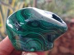 Polished Flower Banded Malachite Free Forms x 6 From Congo - Toprock Gemstones and Minerals 