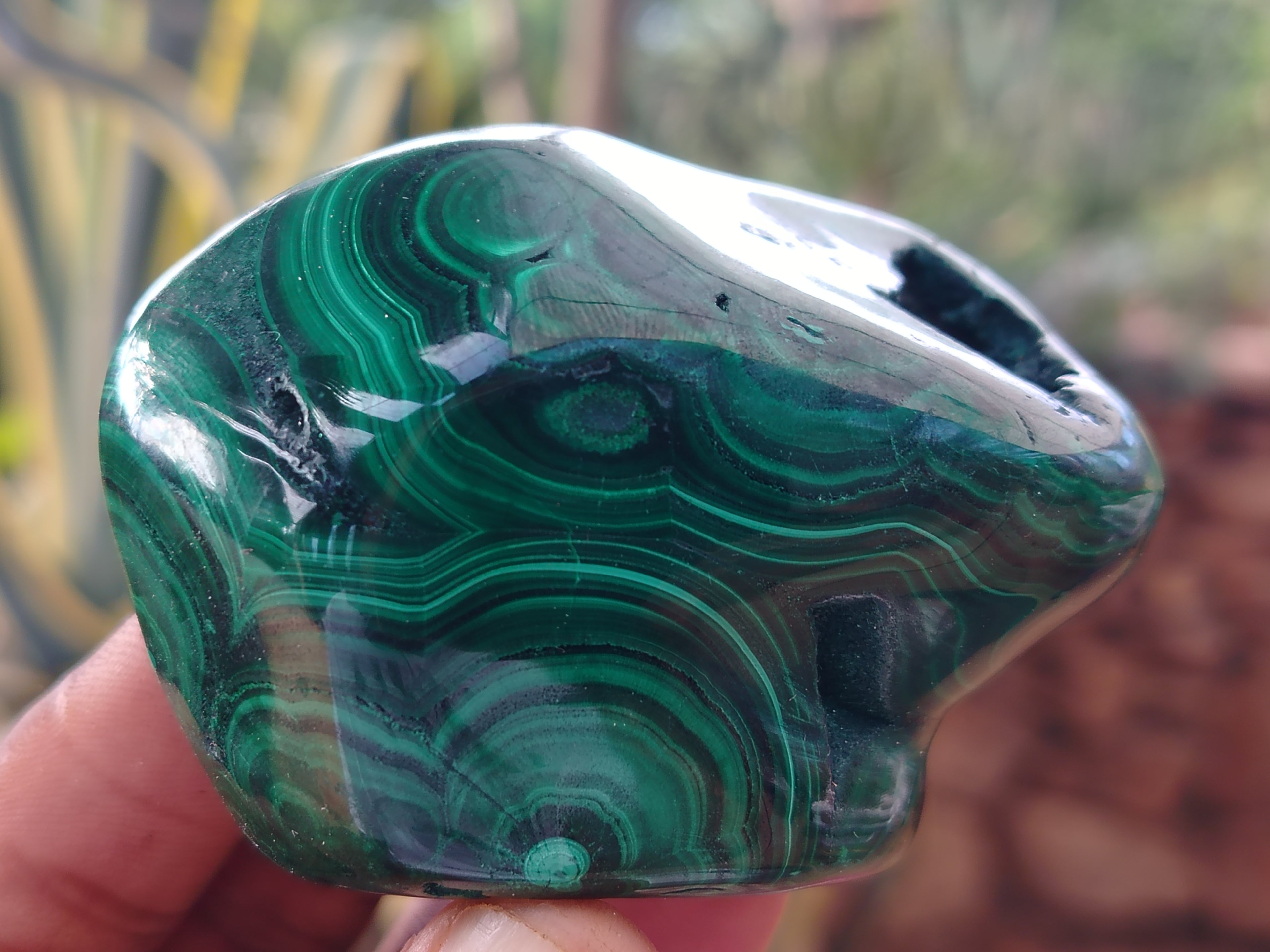 Polished Flower Banded Malachite Free Forms x 6 From Congo - Toprock Gemstones and Minerals 