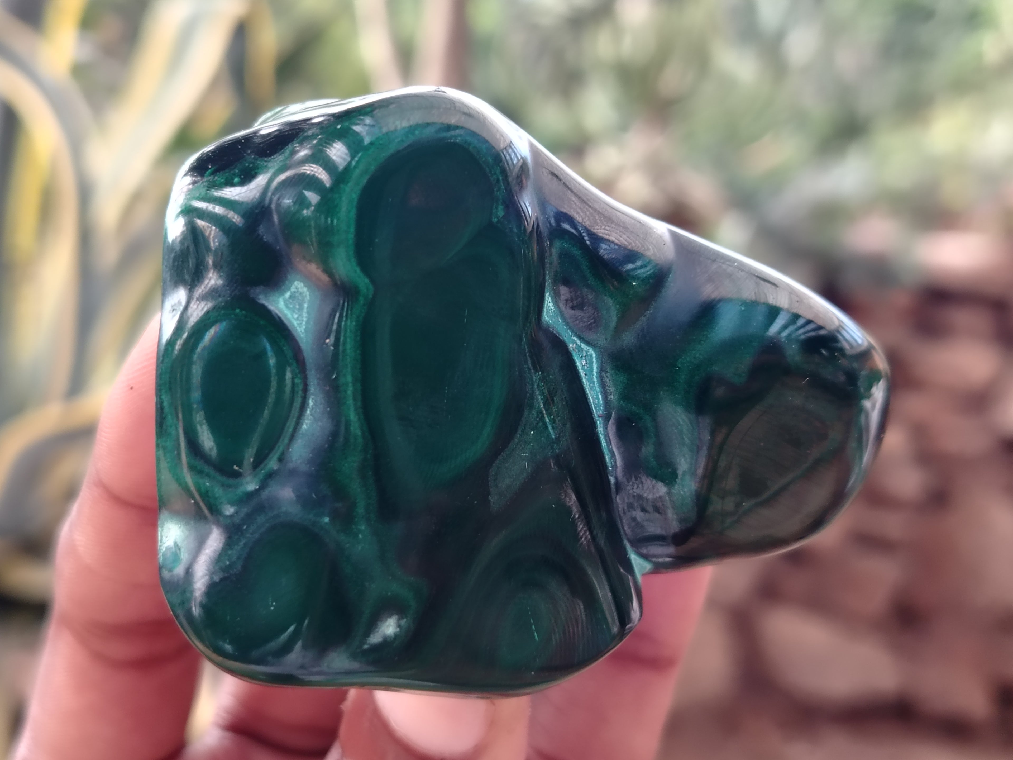Polished Flower Banded Malachite Free Forms x 6 From Congo - Toprock Gemstones and Minerals 