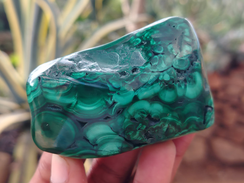 Polished Flower Banded Malachite Free Forms x 6 From Congo - Toprock Gemstones and Minerals 