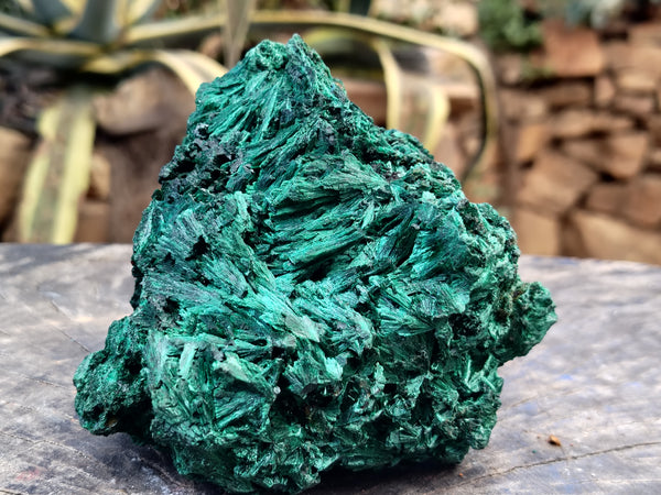 Natural Silky Malachite Specimens x 1 From Kasompe, Congo - Toprock Gemstones and Minerals 