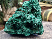 Natural Silky Malachite Specimens x 1 From Kasompe, Congo - Toprock Gemstones and Minerals 